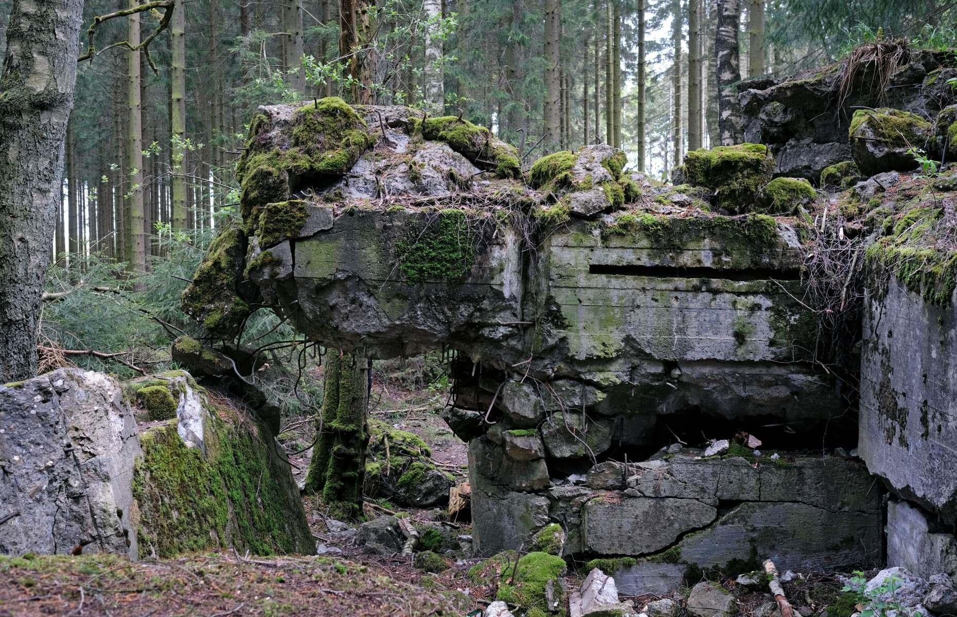 Búnker, Bosque de Hurtgen, Alemania